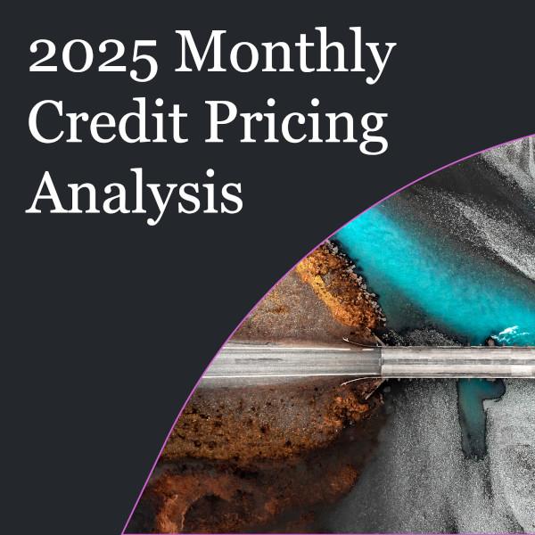 2025 monthly credit pricing analysis image