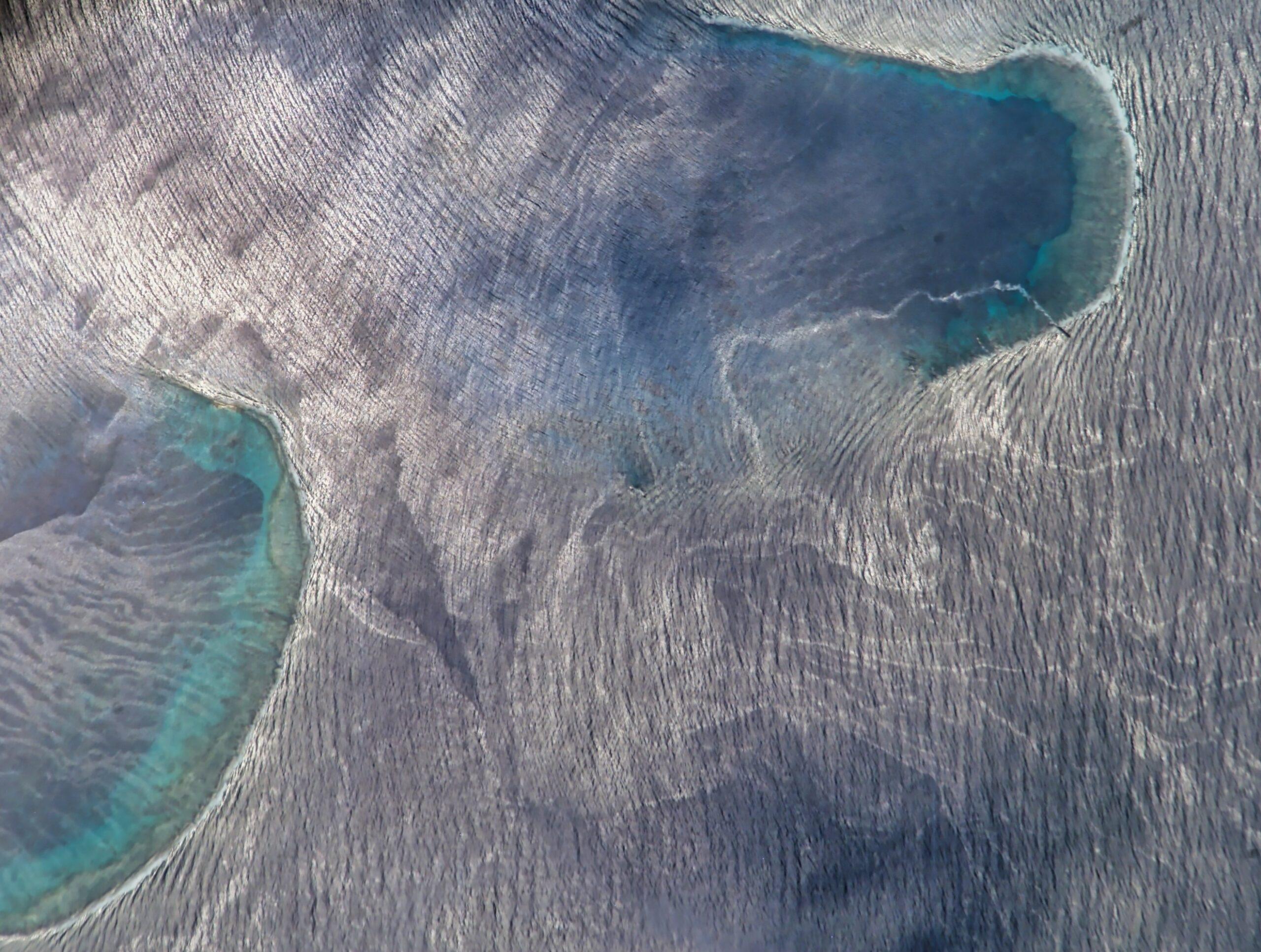 EcoEngineers Named Finalist for 2025 Sustainability Consultancy Award