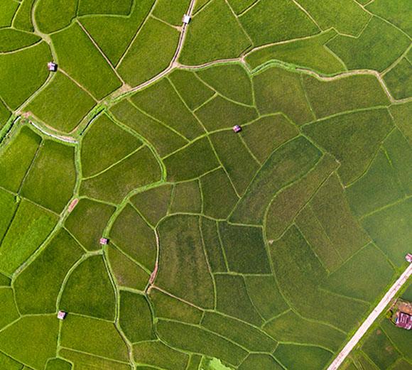 Section 45Z Is Here: Act Fast, Monetize Smart