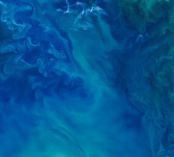 EcoEngineers Joins LRQA