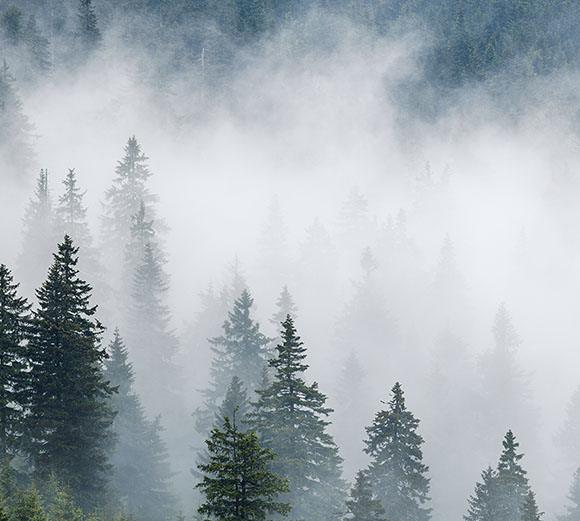 Ensure CA-LCFS, OR-CFP Compliance with EcoEngineers’ AFPR Verification Services