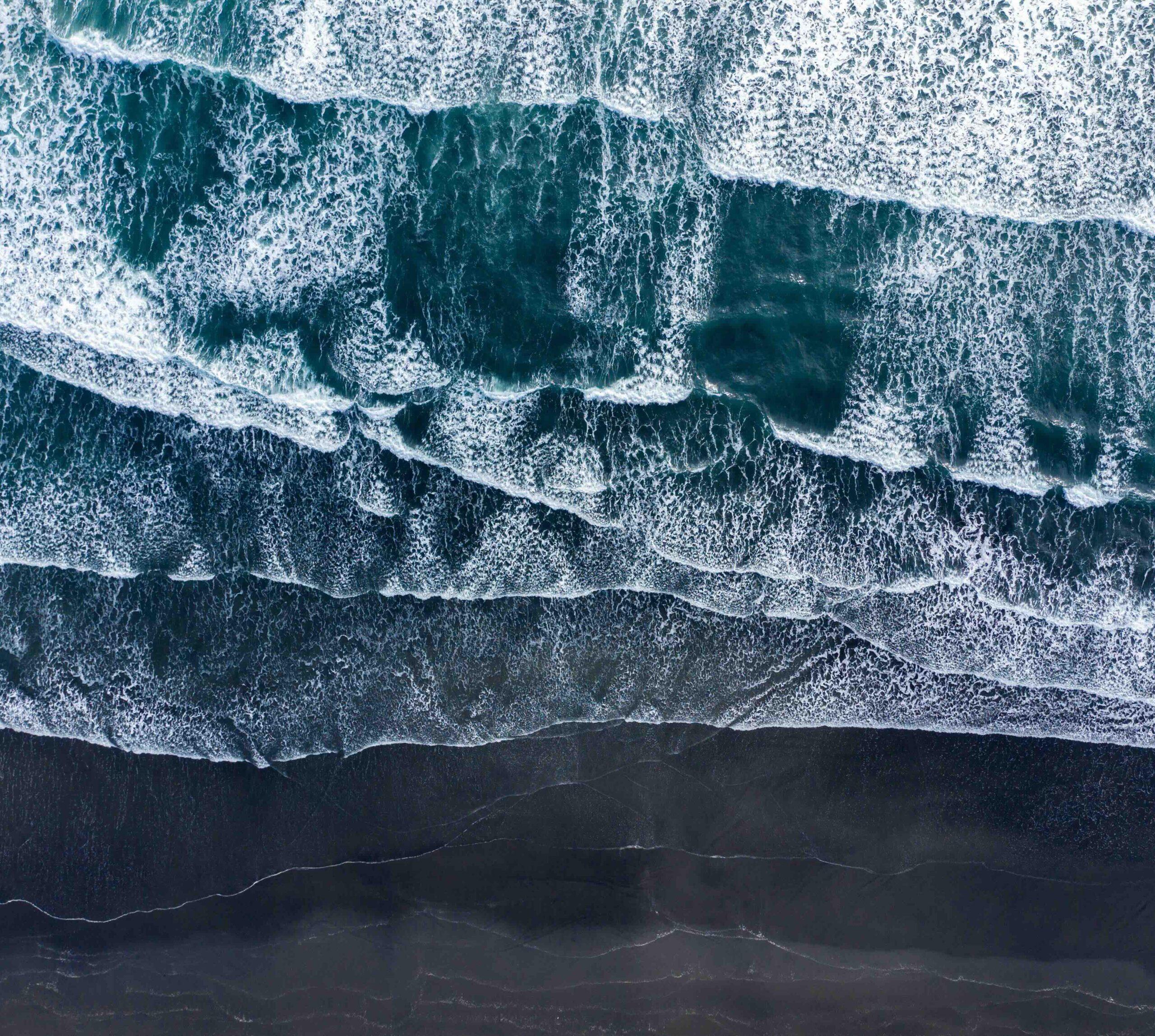 Innovations in Carbon Removal: European Projects & Market Pathways