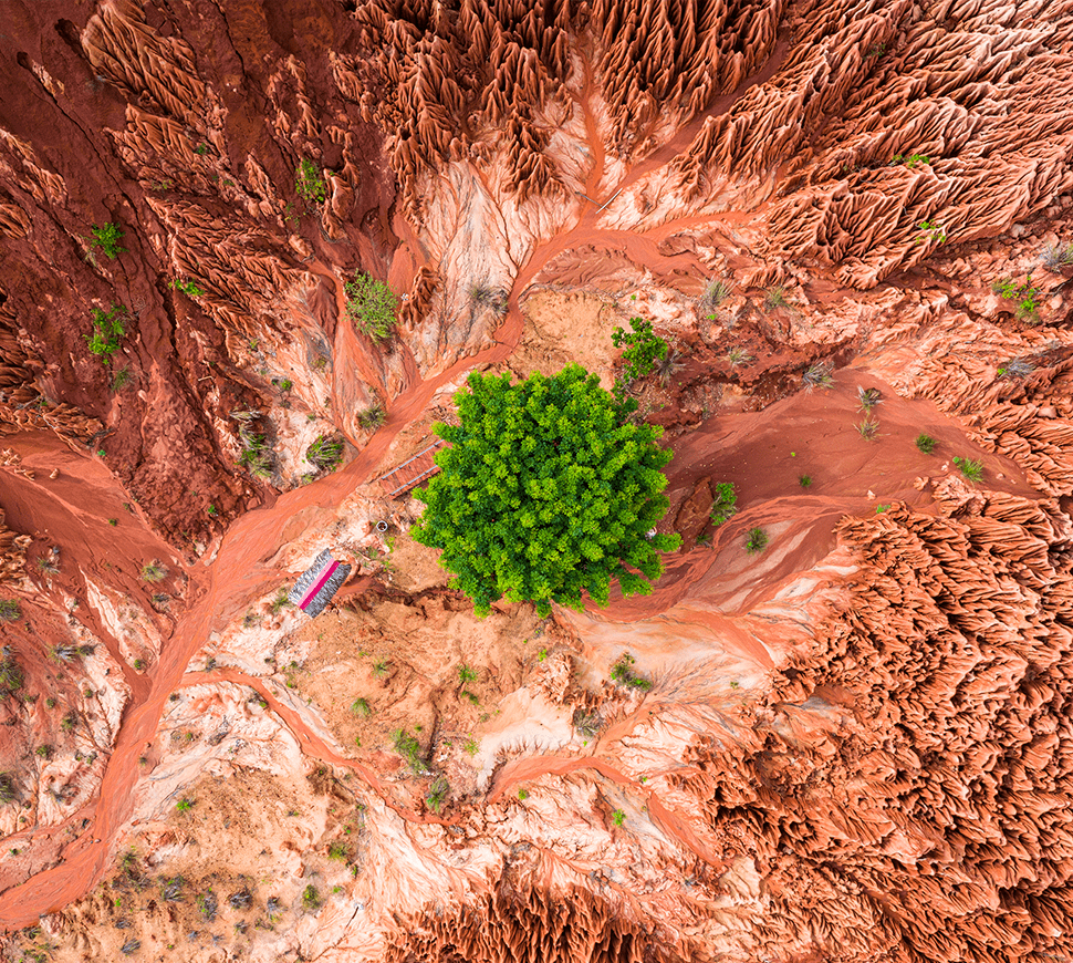 2026 Carbon Market Trends