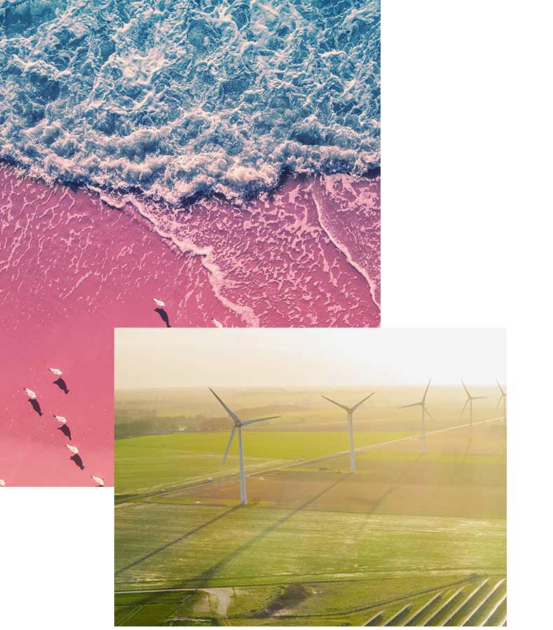 Seascape with seagulls on a sandy beach. Top view of sand and waves. Abstract nature landscape background. Artistic gradient color